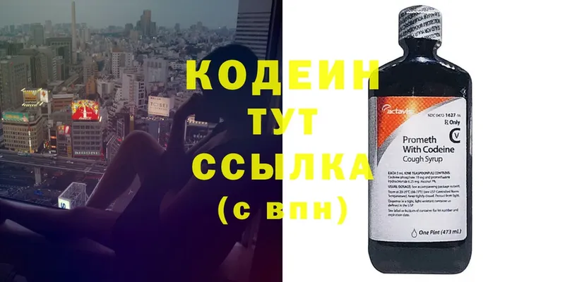 купить закладку  Петровск  Кодеин Purple Drank 