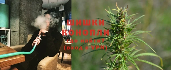 стаф Надым