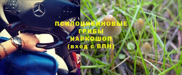 твердый Нефтекумск