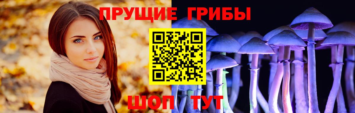 Галлюциногенные грибы ЛСД  Вход с VPN  Петровск 