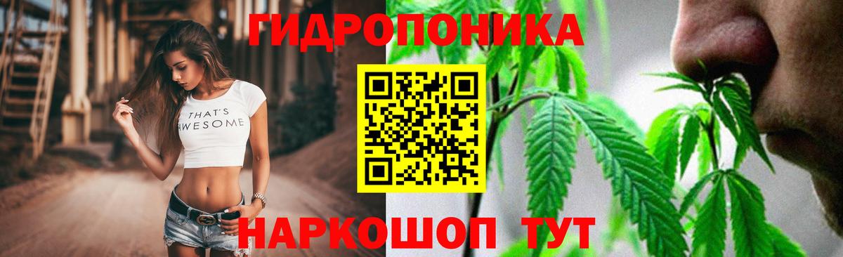 Шишки марихуана SATIVA & INDICA  Бошки марихуана марихуана  Марихуана VHQ  Вход с VPN  Петровск 